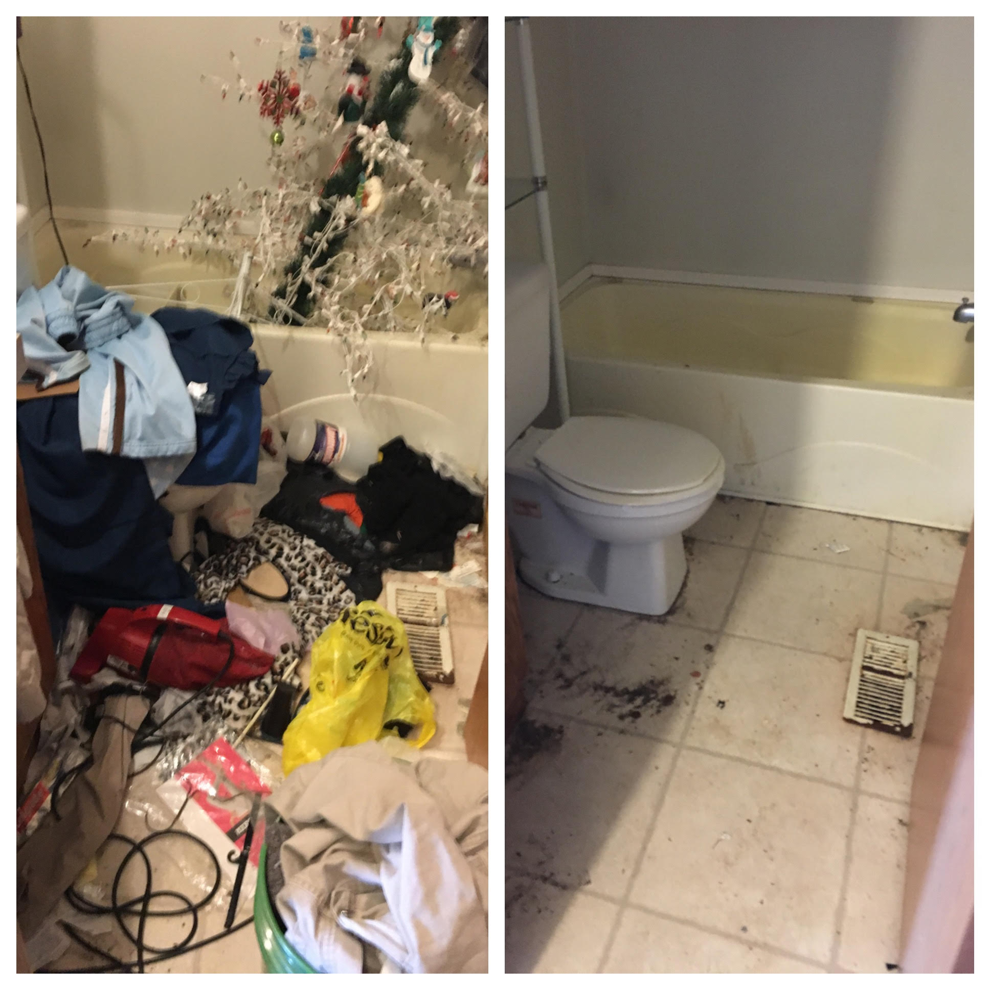 Bathroom Before and After Servicemaster Absolute